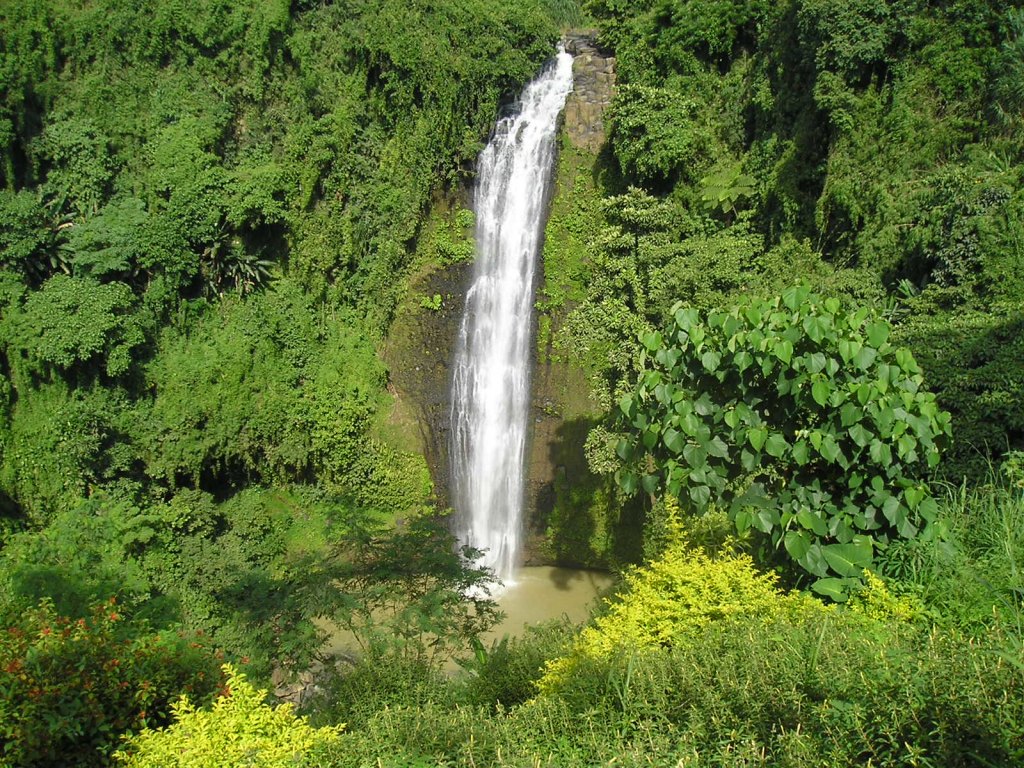 Alalum Falls, Bukidnon