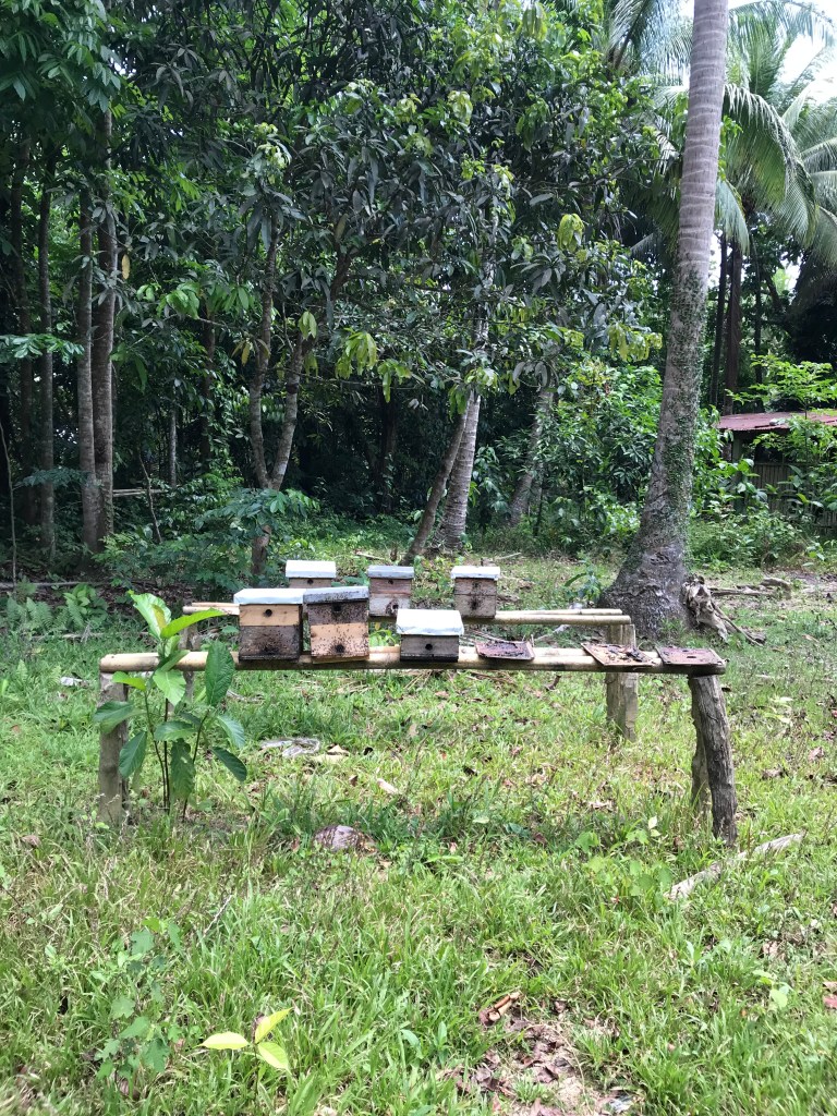 A local bee keeper's farm we passed by on the way home.