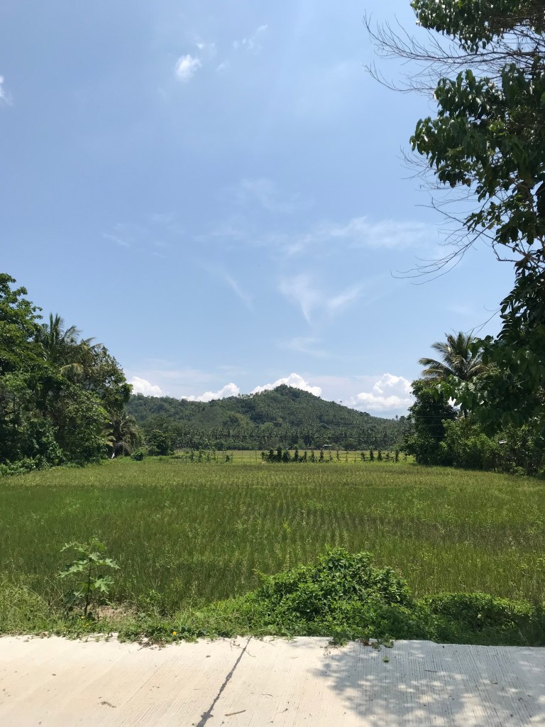 Lots of green meadows and the mountain in the distance to relax our eyes.